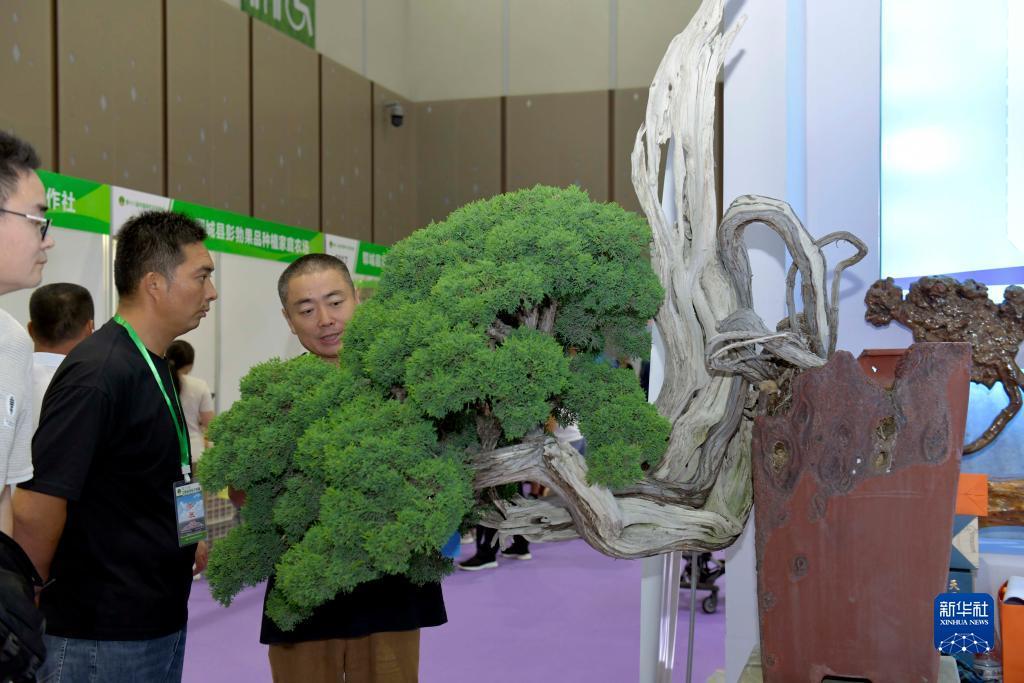 欢乐三张
